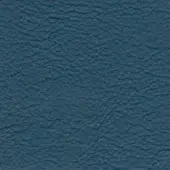 Teal leather texture sample with a heavily pebbled finish, displaying a coated, granular surface and imprinted text: “bross > leather (d) sweet > col. 556”.
