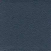 Dark gray leather texture with a uniform dot pattern, matte finish, and dense weave; identified as “bross > leather (d) sweet > col. 558.”