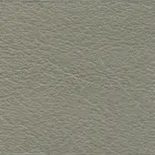 Light gray leather texture sample, mottled with fine wrinkles, matte finish, natural grain, and slight flexibility; bross leather col. 564.