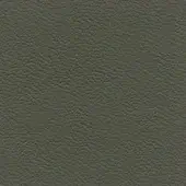 Olive-green leather texture sample with a granular, dotted surface; label reads “bross > leather (d) sweet > col. 567” in sans-serif font.