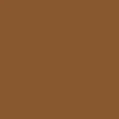 Warm brown color field, matte surface, consistent tone, resembling saddle leather, col. 240, even lighting, monochromatic presentation.