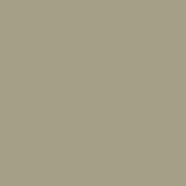 Saddle leather texture sample, col. 250, warm gray tone, matte finish, fine grain, smooth consistent surface, diffused lighting.