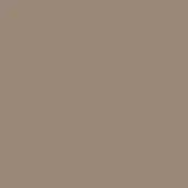 Bronze color field, matte finish, uniform tone with reddish undertones, consistent surface, background element, neutral composition.