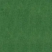 Green woven fabric swatch displaying a dense, uniform texture with visible threads and subtle heathering in a saturated medium-green hue.