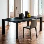 Superior Bross Joy extendable table in oakwood with dark finish exhibits clean lines and a remarkable geometric form
