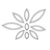 Radial floral graphic with white background, featuring elongated leaf shapes and oval centers in a symmetrical, minimalist composition.