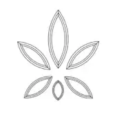 Cannabis leaf line drawing, white background, symmetrical arrangement of five oval shapes, minimalist graphic, clean lines, flat two-dimensional design.