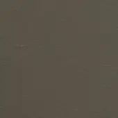 Aniline eco leather texture in greige, displaying a mottled surface with irregular wrinkles and a matte finish, evoking organic depth.