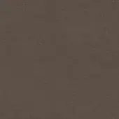 Medium-brown fabric texture with a linear weave, matte finish, and subtle tonal variations; sample labeled “empire 29” by casa casati.
