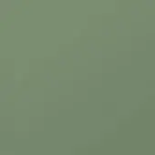 Glossy spitfire green lacquer surface with a smooth, polished texture and subtle gray undertones, displaying a high-gloss, even light reflection.