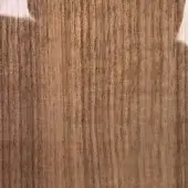 Glossy walnut wood texture with a straight grain pattern, warm medium-brown tones, and a highly reflective, polished surface.