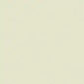 Creamy beige textured surface with a matte finish and granular texture, displaying subtle tonal variations and a soft, brushed quality.