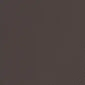 Dark brown leather texture with granular matte finish, displaying irregular lines and a natural grain pattern, even diffused lighting.
