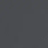 Dark gray leather texture with subtle grain, matte finish, and irregular creases; casa casati branding and “thema 5067” imprint visible.