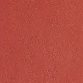 Corallo leather texture sample from Casa Casati Vision collection, displaying a fine, pebbled grain and warm reddish-orange tone.