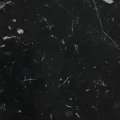 Nero marquinia marble texture displaying black surface with dense white veining, irregular inclusions, and a polished glossy finish.