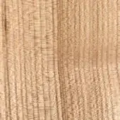 Matt elm wood texture displaying a light beige and tan color palette with vertical grain, creating a smooth, consistent striped pattern.