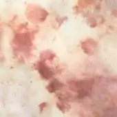 Pink mirror with watercolor effect, mottled rose and blush tones, diffused glass texture, no frame, soft lighting, white background.