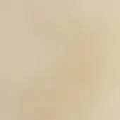 Goldsnow glossy lacquer surface, creamy beige tone, uniform sheen with subtle grain, high-quality finish, refined texture.