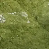 Verde ming marble texture displaying swirling green and white patterns, glossy finish, dense grain with reflective sheen.