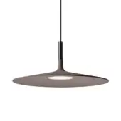 Aplomb Large Brown
