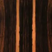 Ebony wood close-up displaying vertical golden-brown stripes, polished surface, dense grain, rich brown hue, linear pattern, and reflective sheen.