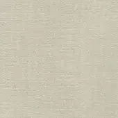 Beige woven fabric texture with a granular, matte finish and dense grid pattern against a neutral backdrop.
