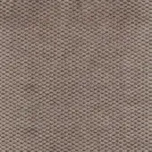 Velvet fabric sample, taupe color, repeating raised circular pattern in a grid, soft sheen, Bolzan Lettti "fabric (c) 600" texture.