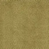 Olive-green velvet fabric sample displays a dense grid of raised circular textures, exhibiting a plush, three-dimensional surface; Bolzan Leti "800."