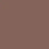 Muted brown color field, matte texture, consistent tone, resembling baked clay or aged bronze, potentially representing color c301–bronze.