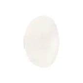 Distinguished Foscarini Rituals wall lamp with a striped blown glass diffuser and epoxy powder coated metal mount