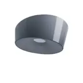 Foscarini Lumiere ceiling lamp, gray finish, cylindrical shape with angled rim and circular base, studio product shot.