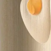 Ash wood section with irregular pale yellow-orange cutout, visible grain, and directional lighting creating textured surface and curved edges.