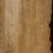 Wood texture displaying golden-brown tones, vertical linear grain, subtle mottled color shifts, and a darkened edge detail.