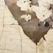 Marble stone surface with beige and tan web pattern, featuring black inclusions and reddish-brown veins, rough texture.