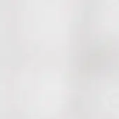 Soft white gradient background transitioning from bright to muted tones, diffused texture, even lighting, indistinct composition, neutral color palette.