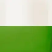 Two-tone graphic, off-white and olive green, horizontal composition with blurred textures and a distinct color block division.