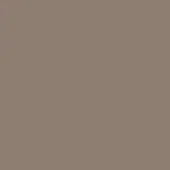 Neutral taupe textured background with a matte finish, displaying a fine-grained pattern and warm, understated color palette.