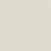 Textured off-white surface with subtle grain, neutral beige tone, and matte finish, illuminated by soft, diffused light for a simple composition.