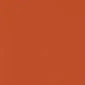Rust colored solid background with matte finish, displaying a consistent, saturated earthy tone throughout the rectangular composition.
