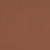 Paprika m14 color texture displays a granular, matte surface with a uniform reddish-brown tone and subtle particle distribution.
