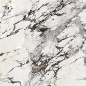 Capraia marble texture with white base, dark brown and gray veining, polished finish, and irregular swirling patterns.