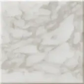 White Calacatta marble tile sample with grey and beige veining, polished finish, and dark grey border framing the square format.