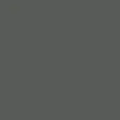 Volcano grey color field, muted dark gray tone, even lighting, flat surface, consistent hue, neutral backdrop, studio setting, no texture.