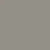 Sandgrey solid color field, matte finish, consistent neutral tone, diffused lighting, uniform appearance, simple composition, no texture.
