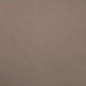Taupe textured wall with matte finish, displaying subtle tonal variations and a slightly rough plaster-like surface, illuminated by diffused light.