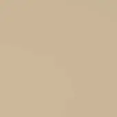 Muted beige rosato color field, uniform matte surface, even lighting, simple composition, presenting a solid color sample swatch.