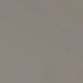 Grigio color field, muted neutral tone, smooth matte finish, subtle gradient from dark to light, minimalist composition, diffused even lighting.