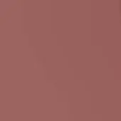 Terracotta solid color background with a matte finish, displaying a smooth, uniform surface and subtle tonal gradient throughout the composition.