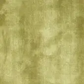 Distressed green texture with mottled color variations, granular surface, subtle vertical striations, and a diffused, matte watercolor effect.
